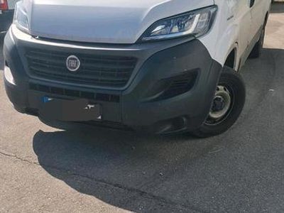 Gebraucht Fiat Ducato 140 PS (102 kW) 2021 Weiß Van