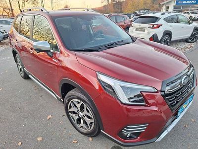 Gebraucht Subaru Forester Comfort 150 PS (110 kW) 2023 Crimson red m1y SUV