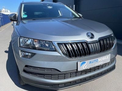 Grau Gebraucht 2019 Skoda Karoq Style SUV | 15.490 € (Fairer Preis)