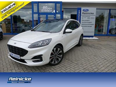 Gebraucht Ford Kuga ST-Line X 150 PS (110 kW) 2021 Weiß SUV