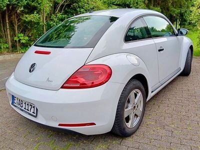VW Beetle