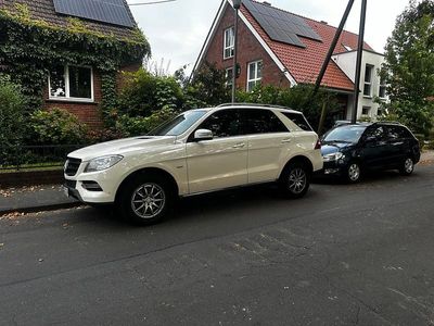 Mercedes ML250