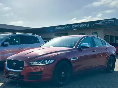 Usata Jaguar XE Portfolio 163 CV (119 kW) 2015 Rosso Berlina