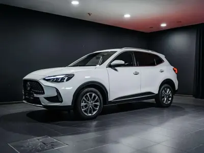 Gebraucht MG HS