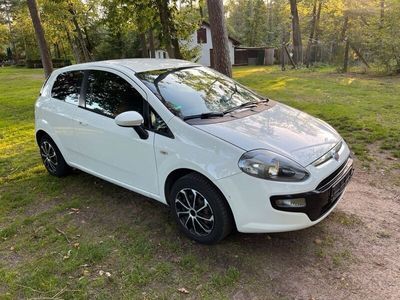 gebraucht Fiat Punto Evo 