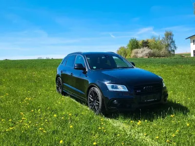 Gebraucht Audi SQ5 Black Edition 313 PS (230 kW) 2015 Schwarz SUV