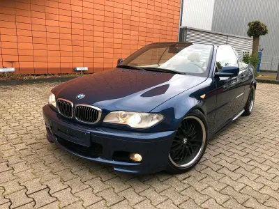 Brugt BMW 330