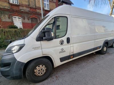 Weiß Gebraucht 2019 Fiat Ducato Van | 15.500 € (Etwas zu teuer)