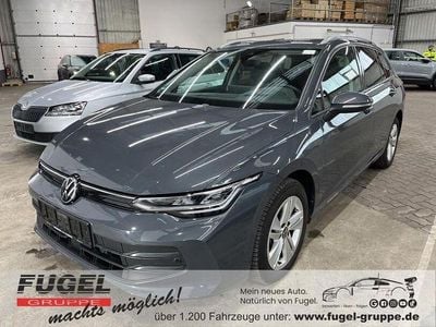 Gebraucht VW Golf VIII Life 150 PS (110 kW) 2024 Delfingrau metallic Kombi