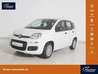 Weiss Neu 2025 Fiat Panda Icon Limousine | 15.980 € (Fairer Preis)