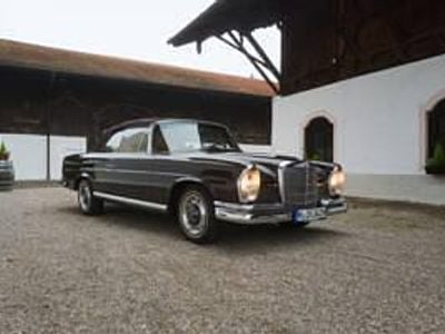 Gebraucht Mercedes 280 SE 160 PS (117 kW) 1968 Braun Cabrio