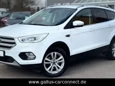Usata Ford Kuga Cool & Connect 150 CV (110 kW) 2019 Bianco SUV