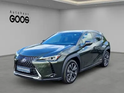 Gebraucht Lexus UX 250h 178 PS (130 kW) 2020 Grün SUV