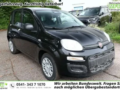 Neu Fiat Panda 69 PS (50 kW) 2025 Cinema schwarz Kleinwagen