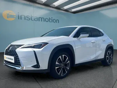Gebraucht Lexus UX 250h Executive Line 184 PS (135 kW) 2023 Weiß SUV
