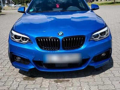 Blau Gebraucht 2021 BMW 230 M Sport Cabrio | 27.400 € (Superpreis)