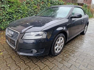 gebraucht Audi A3 Cabriolet Attraction,Leder,Scheckheft,Allwett