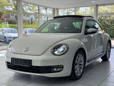 gebraucht VW Beetle *PANO*NAVI*SOUND*LEDER*KEYL*F1*XENO*DAB+*