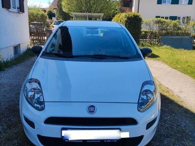 gebraucht Fiat Punto 