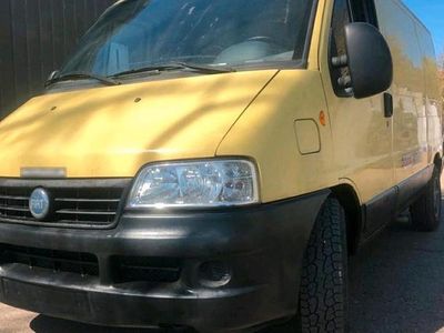 Usata Fiat Ducato 110 CV (80 kW) 2003 Giallo Furgone