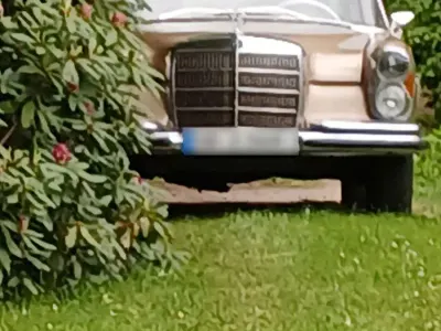 Gebraucht Mercedes 250 140 PS (102 kW) 1967 Gold Limousine
