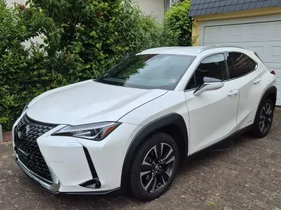 Gebraucht Lexus UX 184 PS (135 kW) 2020 Weiß SUV