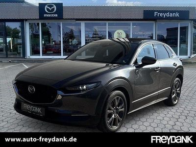 Gebraucht Mazda CX-30 Edition 180 PS (132 kW) 2020 Machine grey SUV