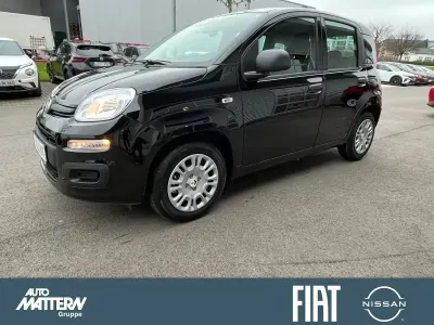 Używany Fiat Panda Icon 65 KM (47 kW) 2026 Czarny Hatchback