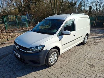 Gebraucht VW Caddy Maxi 102 PS (75 kW) 2016 Weiß Van / Kleinbus