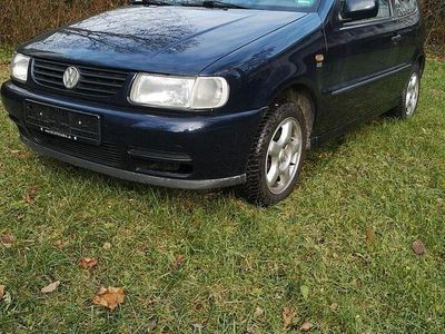 VW Polo