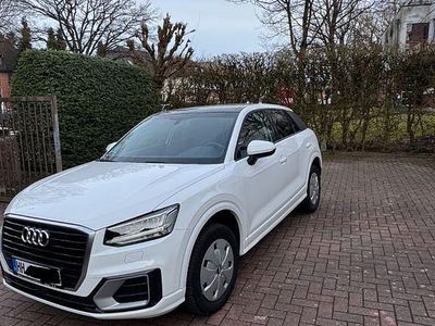Gebraucht Audi Q2 Design 150 PS (110 kW) 2017 Weiß SUV