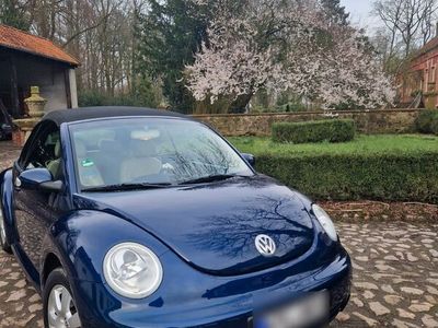 gebraucht VW Beetle 