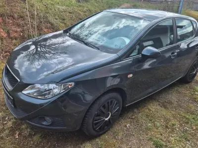 Gebraucht Seat Ibiza 86 PS (63 kW) 2011 Grau Kleinwagen
