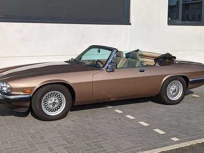 Gebraucht Jaguar XJS 273 PS (200 kW) 1989 Braun Cabrio