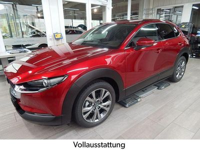 Gebraucht Mazda CX-30 Selection 150 PS (110 kW) 2023 Rot SUV