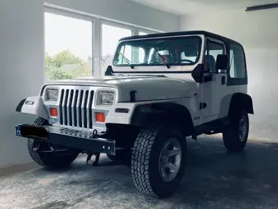 Gebraucht Jeep Wrangler 121 PS (88 kW) 1994 Schwarz SUV