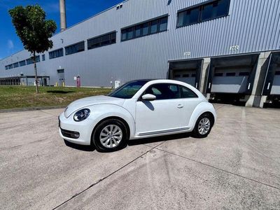 VW Beetle