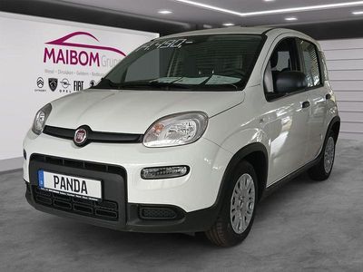 Gebraucht Fiat Panda 69 PS (50 kW) 2024 Weiß Kleinwagen