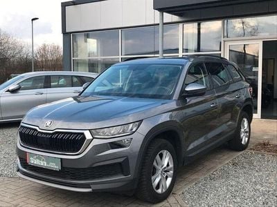 Gebraucht Skoda Kodiaq 150 PS (110 kW) 2023 Grau SUV