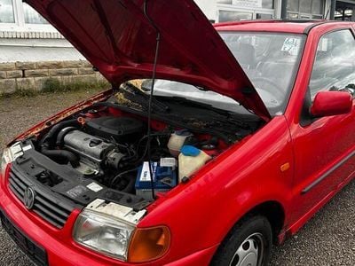 VW Polo