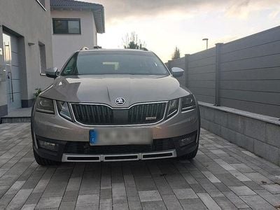 Beige Gebraucht 2017 Skoda Octavia Scout Kombi | 18.999 €