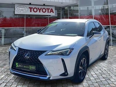 Gebraucht Lexus UX 250h 184 PS (135 kW) 2023 Weiß SUV
