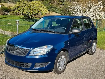 Usata Skoda Fabia Active 60 CV (44 kW) 2013 Blu Utilitaria
