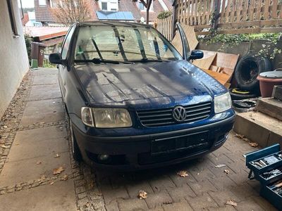 VW Polo