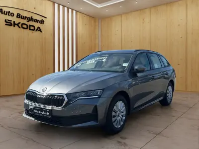 Neu Skoda Octavia Essence 116 PS (85 kW) 2026 Grau Limousine