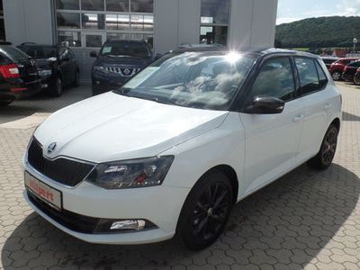 Gebraucht Skoda Fabia Ambition 90 PS (66 kW) 2015 Weiß Kleinwagen