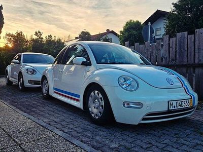 VW Beetle