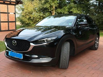 gebraucht Mazda CX-30 2.0 SKYACTIV-X M-Hybrid Edition 100 Ed...