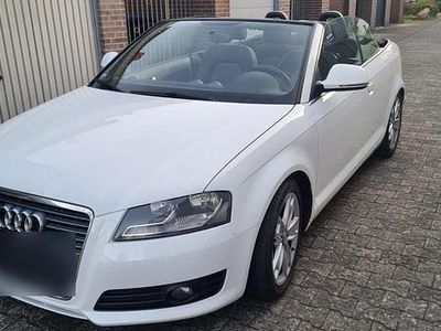 Gebraucht Audi A3 Cabriolet 140 PS (102 kW) 2009 Weiß Cabrio