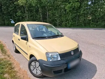 Usata Fiat Panda 54 CV (39 kW) 2009 Giallo Utilitaria